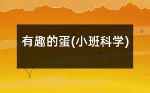 有趣的蛋(小班科學)
