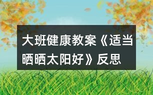 大班健康教案《適當(dāng)曬曬太陽好》反思