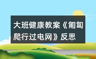 大班健康教案《匍匐爬行過(guò)電網(wǎng)》反思