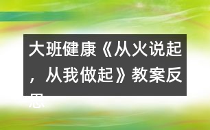 大班健康《從火說起，從我做起》教案反思
