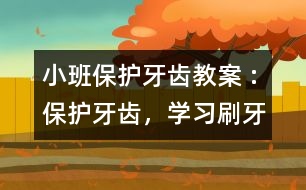 小班保護牙齒教案 :保護牙齒，學(xué)習(xí)刷牙