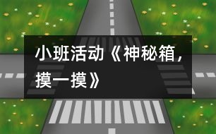 小班活動(dòng)《神秘箱，摸一摸》