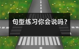 句型練習(xí)“你會說嗎？”