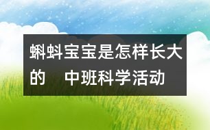蝌蚪寶寶是怎樣長(zhǎng)大的?。ㄖ邪嗫茖W(xué)活動(dòng)）