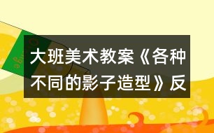 大班美術教案《各種不同的影子造型》反思