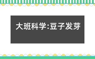 大班科學:豆子發(fā)芽