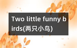 Two little funny birds(兩只小鳥)