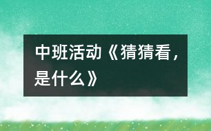 中班活動：《猜猜看，是什么》