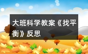 大班科學教案《找平衡》反思