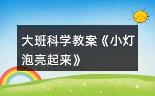 大班科學教案《小燈泡亮起來》