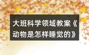 大班科學領(lǐng)域教案《動物是怎樣睡覺的》反思