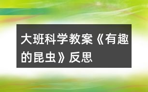 大班科學(xué)教案《有趣的昆蟲(chóng)》反思