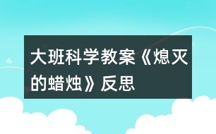 大班科學教案《熄滅的蠟燭》反思