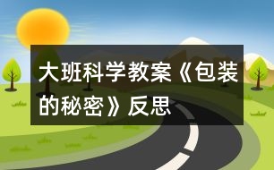 大班科學教案《包裝的秘密》反思