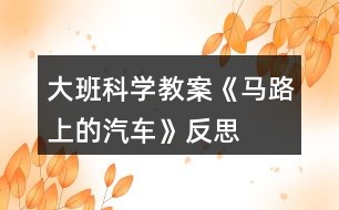 大班科學教案《馬路上的汽車》反思