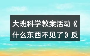 大班科學(xué)教案活動(dòng)《什么東西不見(jiàn)了》反思