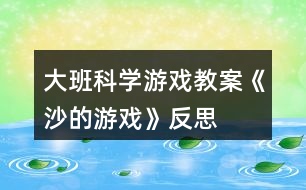 大班科學游戲教案《沙的游戲》反思