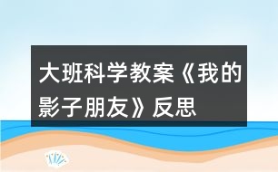 大班科學教案《我的影子朋友》反思