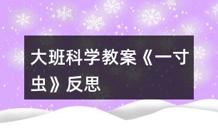 大班科學教案《一寸蟲》反思