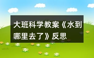 大班科學教案《水到哪里去了》反思