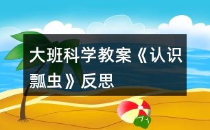 大班科學教案《認識瓢蟲》反思