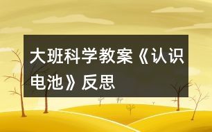 大班科學(xué)教案《認(rèn)識(shí)電池》反思