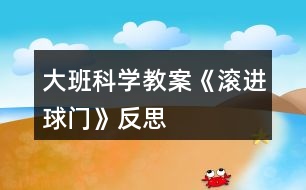 大班科學(xué)教案《滾進球門》反思