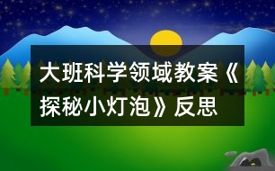大班科學領域教案《探秘小燈泡》反思