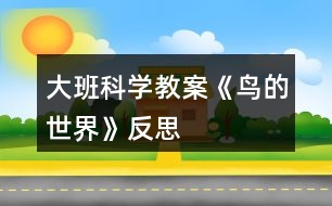 大班科學教案《鳥的世界》反思