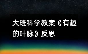 大班科學教案《有趣的葉脈》反思