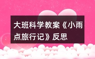 大班科學(xué)教案《小雨點(diǎn)旅行記》反思