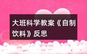 大班科學教案《自制飲料》反思