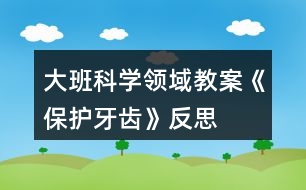 大班科學(xué)領(lǐng)域教案《保護牙齒》反思