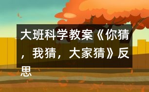 大班科學(xué)教案《你猜，我猜，大家猜》反思