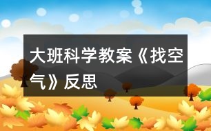 大班科學教案《找空氣》反思