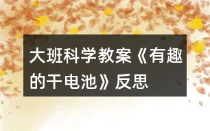 大班科學教案《有趣的干電池》反思