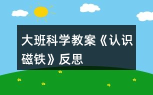 大班科學(xué)教案《認(rèn)識磁鐵》反思