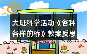 大班科學(xué)活動《各種各樣的橋》教案反思
