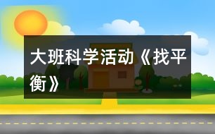大班科學活動《找平衡》