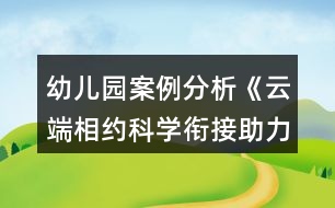 幼兒園案例分析《云端相約科學(xué)銜接助力成長(zhǎng)》幼小銜接案列