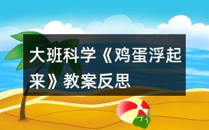 大班科學《雞蛋浮起來》教案反思