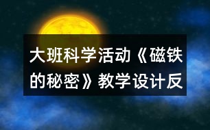 大班科學(xué)活動《磁鐵的秘密》教學(xué)設(shè)計(jì)反思