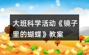 大班科學(xué)活動《鏡子里的蝴蝶》教案