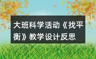 大班科學活動《找平衡》教學設計反思