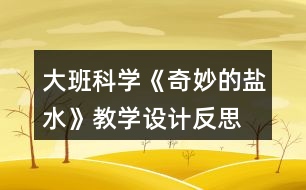 大班科學(xué)《奇妙的鹽水》教學(xué)設(shè)計反思