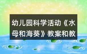 幼兒園科學(xué)活動(dòng)《水母和?？方贪负徒虒W(xué)反思