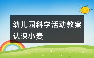 幼兒園科學活動教案認識小麥