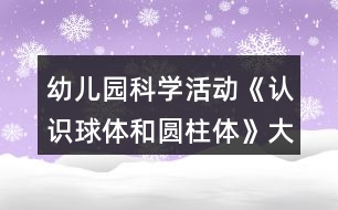 幼兒園科學(xué)活動《認識球體和圓柱體》大班教學(xué)設(shè)計