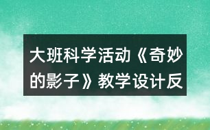 大班科學活動《奇妙的影子》教學設計反思