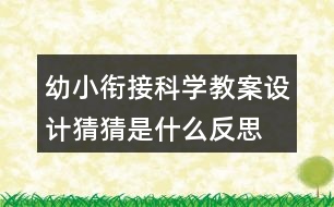 幼小銜接科學(xué)教案設(shè)計—猜猜是什么反思